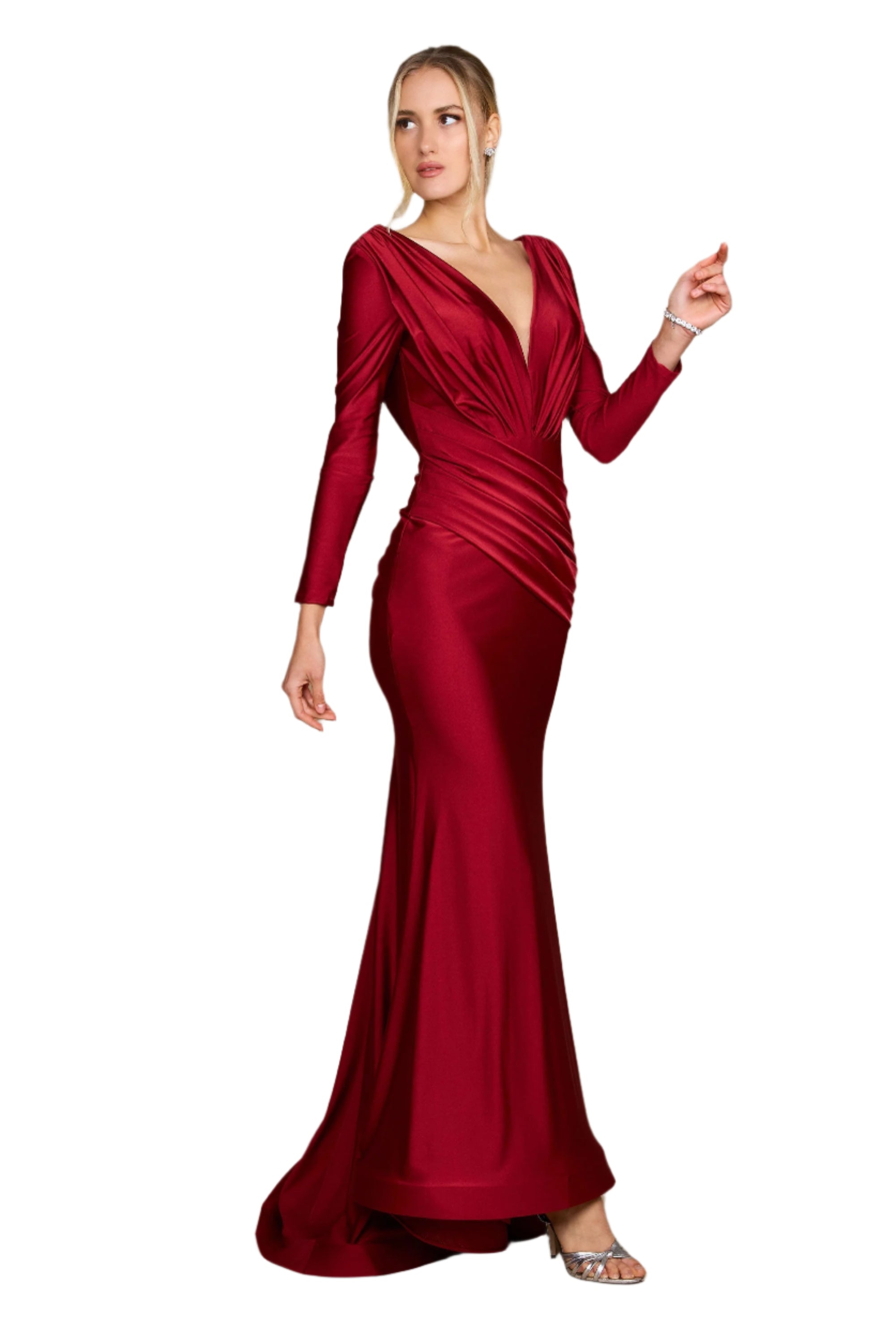 Dylan and Davids Full-Length Sleeve Fitted Formal Gown Evening Dress